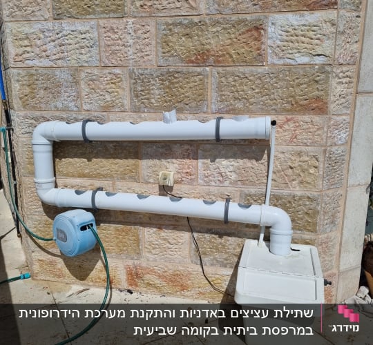 מערכת הידרופונית עם צינורות פלסטיק וקופסה לבנה